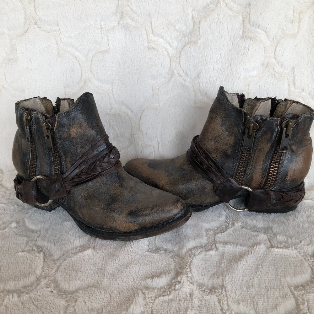 Freebird by Steven Clash